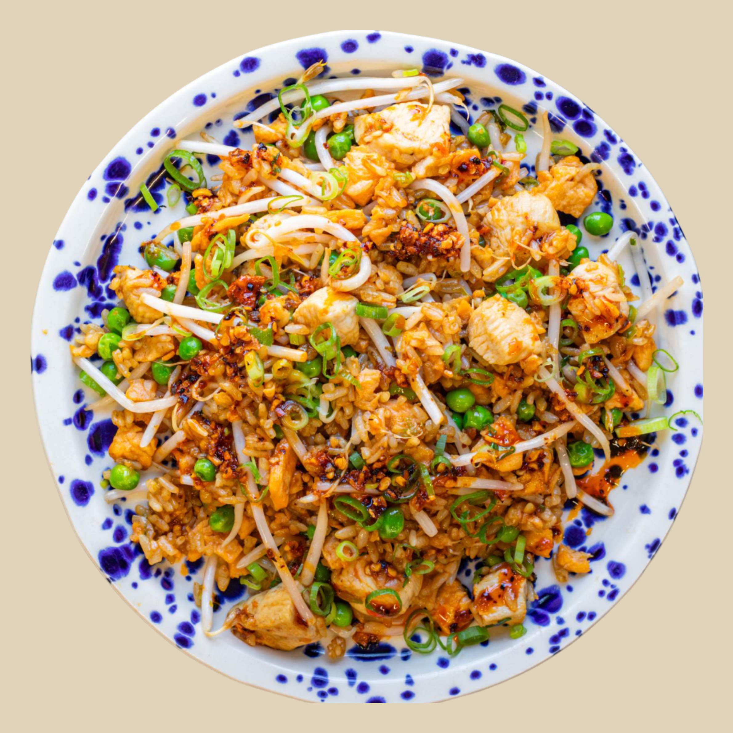 Nasi met kip & satésaus